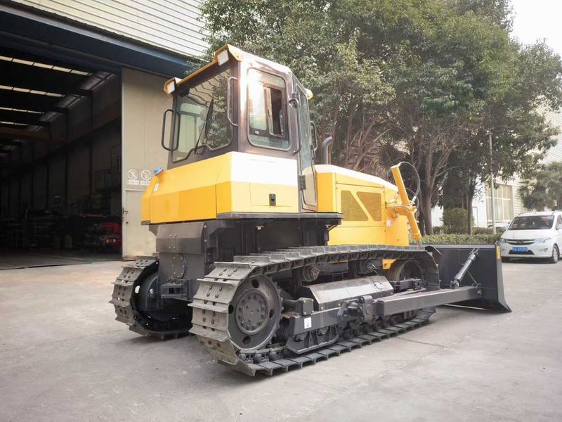 Buldozer pe Senile 100CP