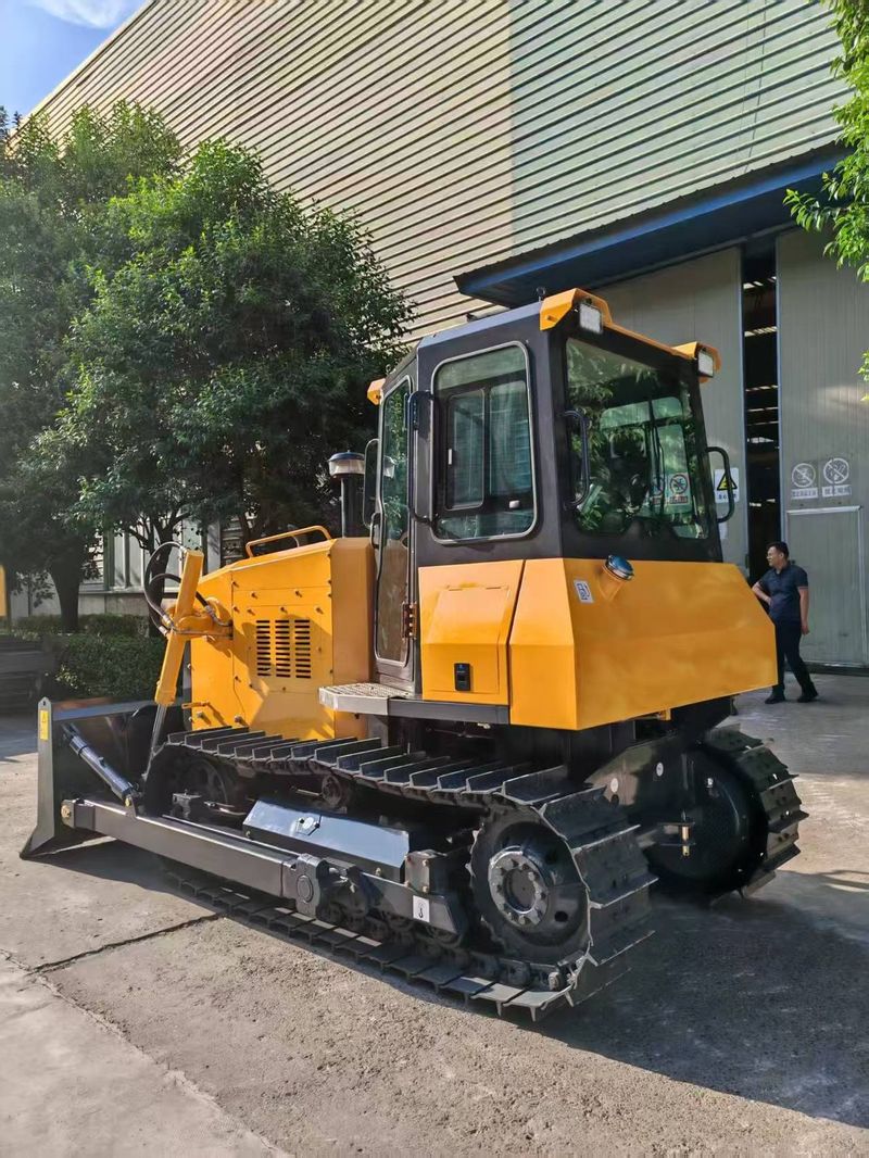 Buldozer pe Senile 80CP